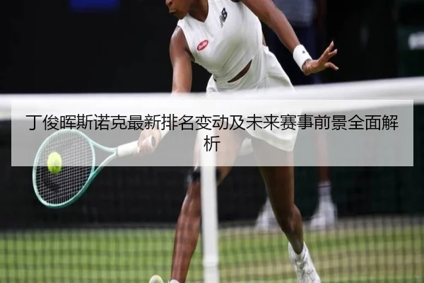 丁俊晖斯诺克最新排名变动及未来赛事前景全面解析 - RAY ESPORTS